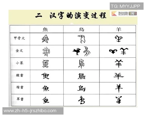 足球队名字的由来与文化背景探讨：从历史到现代的演变与影响